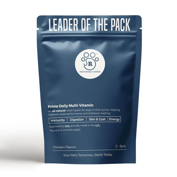 Leader of the Pack – All-Natural Daily Multi-Vitamin for Dogs (2-5yrs)